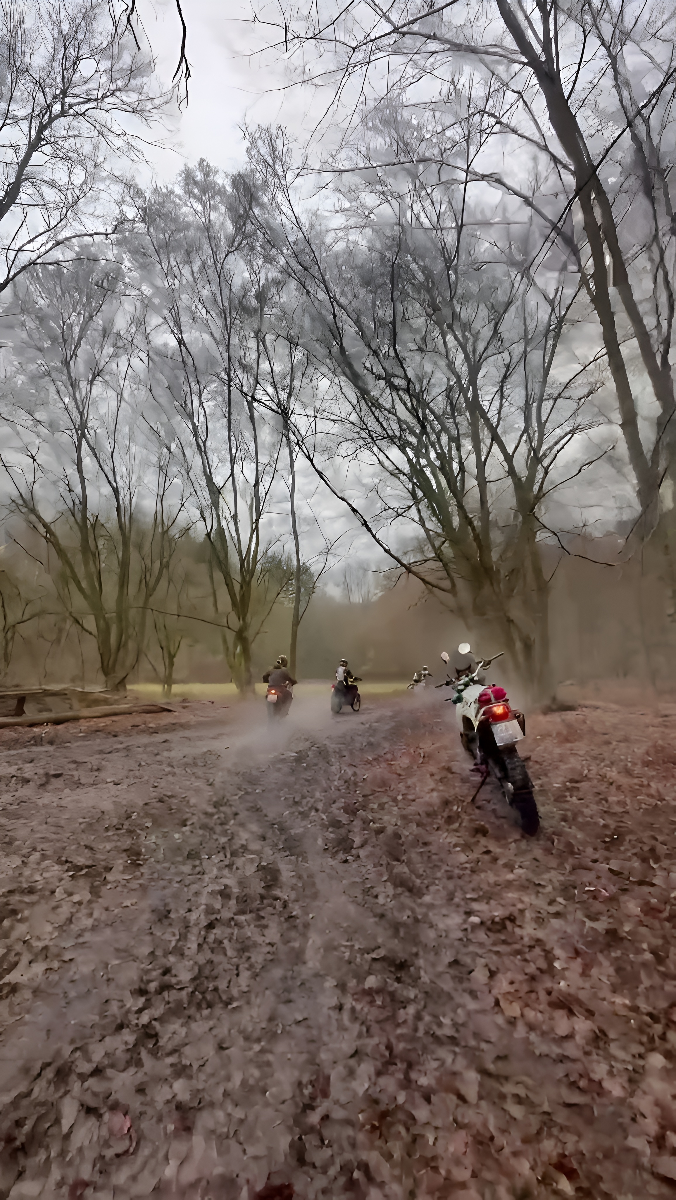 Грузия · кадр 5